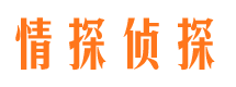 宁南市调查公司